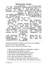 Sibirischer Husky.pdf